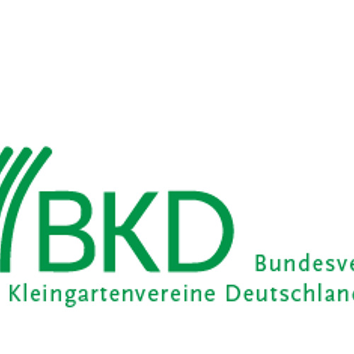 BKD informiert 11/2024